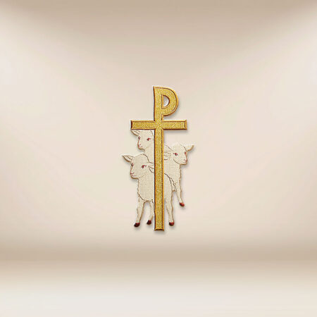 aplikacja haftowana PX z barankami