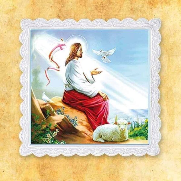 Palka Foto Nr 24 Palka Foto Nr 24