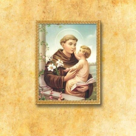 Immagine su Tessuto S. Antonio