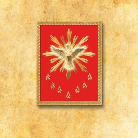 Immagine su tessuto Spirito Santo