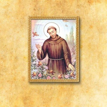 Immagine di S. Francesco