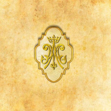 Aplikacja haftowana "IHS"