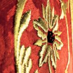Casula sacerdotale rossa con IHS