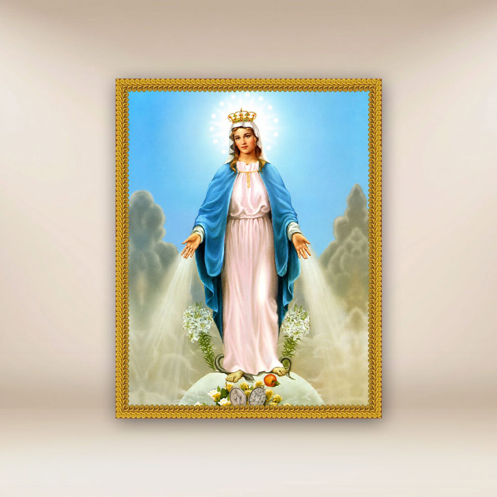 Immagine su tessuto Madonna Immacolata Concezione
